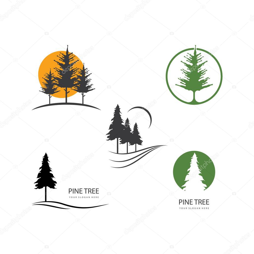 Pine tree ilustration logo vector design