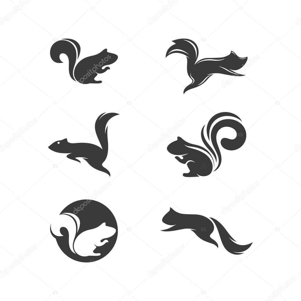 Squirrel illustration logo vector template design