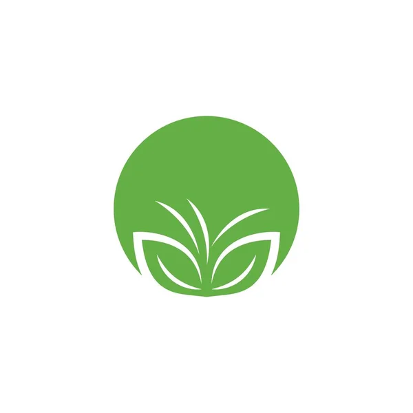 Yeşil Yaprak Illüstrasyon Ekoloji Logosu Tasarımı — Stok Vektör