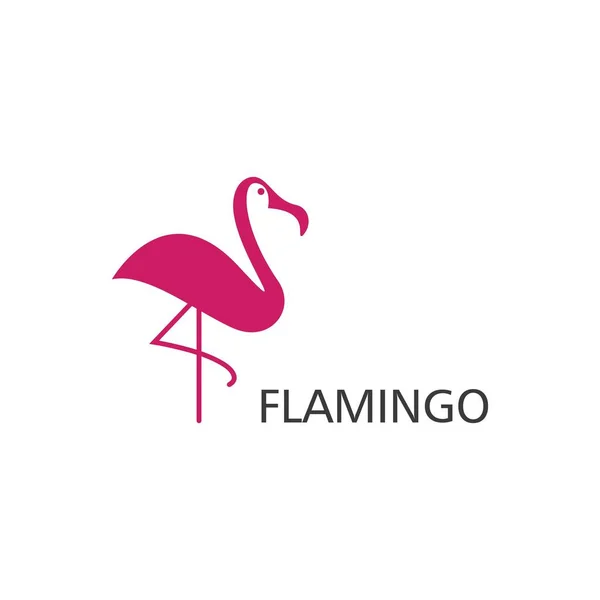 Plantilla Vector Logotipo Ilustración Flamenco — Archivo Imágenes Vectoriales