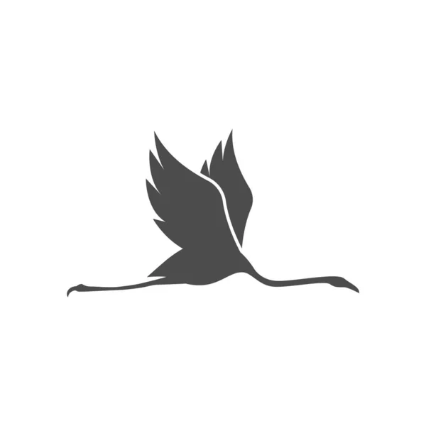 Flamingo Ilüstrasyon Logo Vektör Şablonu — Stok Vektör