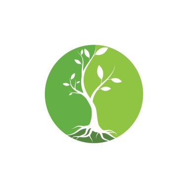Ağaç illüstrasyon doğa logosu vektör tasarımı