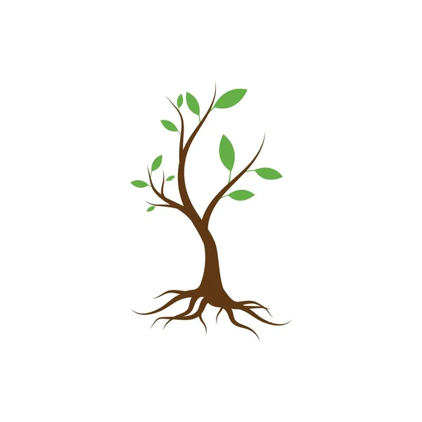 Plant Life Process Illustrtation Vektor Lapos Kialakítás — Stock Vector