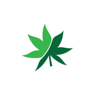 Canabis yaprak logo vektör illüstrasyon tasarımı
