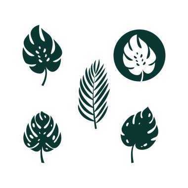 Canavar yaprağı illüstrasyon vektör tasarımı