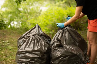 People collect garbage in bags. Hands tie a bag. Collect garbage in nature. The concept of cleaning in nature. Clean the green area. Collect garbage in gloves. Black bags. trash  clipart