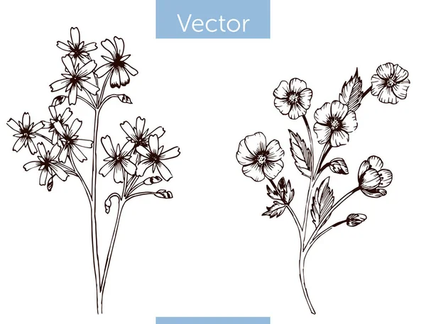 Монохромный векторный ручной рисунок полевых цветов на белом фоне — стоковый вектор