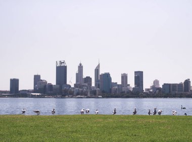 Kuğu nehir den Perth Cbd görünümü