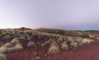 Outstanding australian sunset over a spinifex hill. Panoramic picture. clipart
