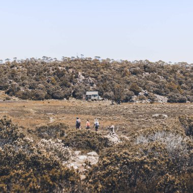 Orman ve dağlara kapalı bulunan izole bir dağ kulübesine doğru yürüyen yürüyüşçüler