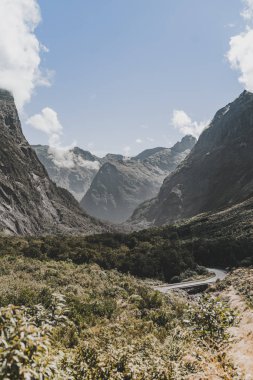 Yeni Zelanda'da Nefes Kesen Bir Manzara Yolu. Dikey Görüntü