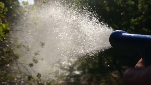 庭の水やり ピストルからの水流でスローモーション映像 太陽光線に水滴が落ちる — ストック動画