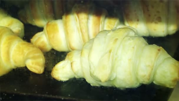 Baking Croissants Time Lapse Footage Cake Growing Oven Fresh Pastry — Stock Video