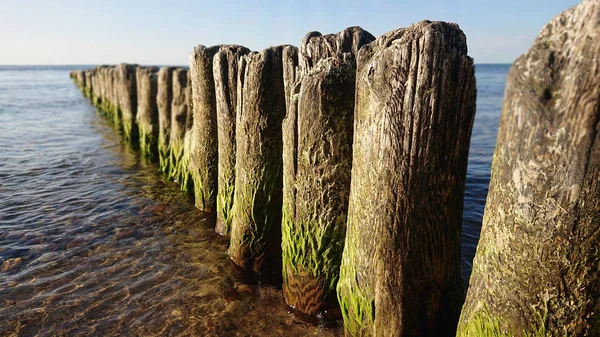 Frangiflutti in legno — Foto Stock