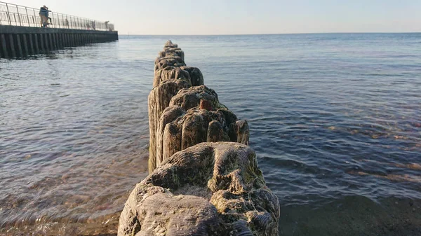 Ahşap dalgakıran — Stok fotoğraf