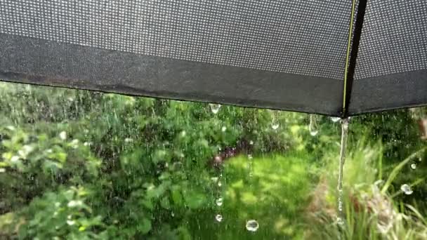黒いパラソルに降る壮大な雨滴 スローモーション映像で傘の端から落ちる滴 — ストック動画