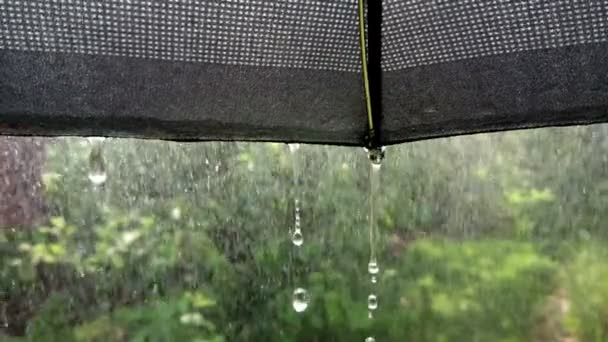 壮观的雨滴落在黑色的遮阳伞上 在慢动作镜头中从伞边缘掉落的掉落 — 图库视频影像