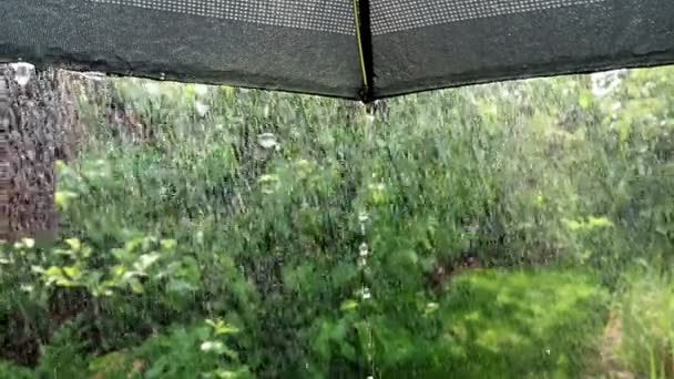 Espectacular Gotas Lluvia Cayendo Sobre Sombrilla Negra Gotas Cayendo Desde — Vídeo de stock