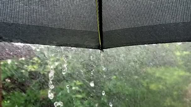 壮观的雨滴落在黑色的遮阳伞上 在慢动作镜头中从伞边缘掉落的掉落 — 图库视频影像