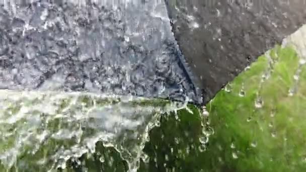 Raindrop Black Umbrella Slow Motion Footage Spectacular Drops Falling Parasol — Stock Video