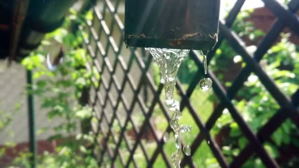 Water Dripping Gutter Slow Motion Drops Crystal Clear Water Falling — Stock Video