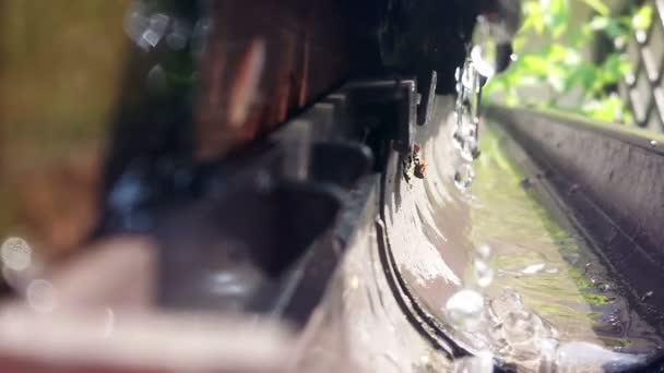 L'eau coule de la gouttière au ralenti. Des gouttes d'eau de pluie cristalline tombent sur un tuyau ouvert. Réflexion et éruptions. Environnement naturel, écologie et économie d'eau .