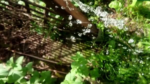 Chute Grosses Gouttes Eau Éclaboussent Ralenti Jardin Vert Avec Bois — Video