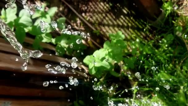 落水大滴飞溅慢动作 绿色花园 背景有木材和树叶 — 图库视频影像