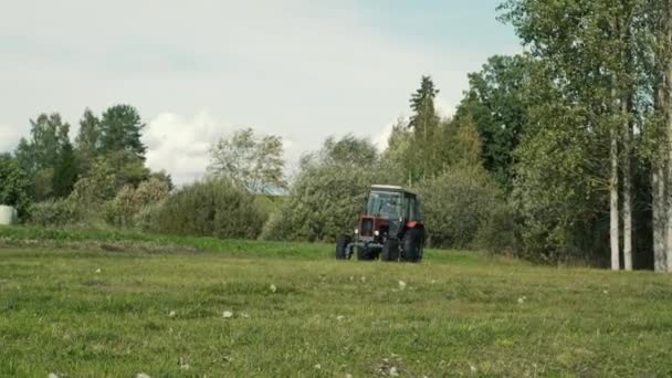 Viejo Tractor Rojo Patio Cultivo Conducción Hacia — Vídeos de Stock