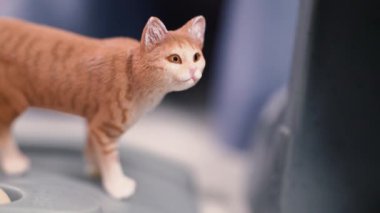 Etrafında oyuncaklar ile plastik minyatür kedi
