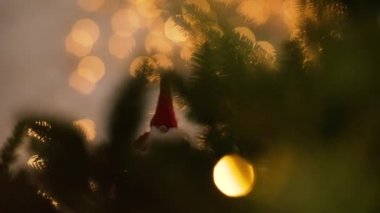 Bir Noel ağacında saklanan Gnome