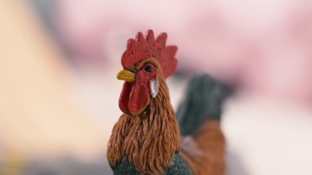 塑料微型公鸡与玩具周围 — 图库视频影像