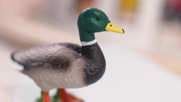 Plastic Miniature Duck Toys — Stock Video