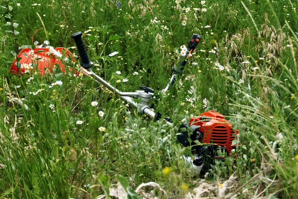 Petrol string trimmer lies in the grass.