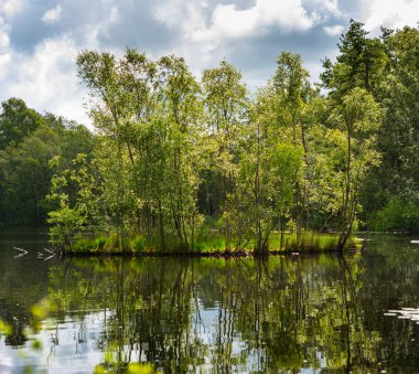 Göldeki küçük bir adada bir grup ağaç..