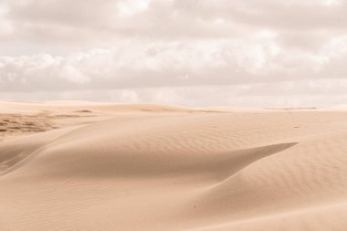 Güzel ışıktaki kum tepeciğinin ayrıntıları.