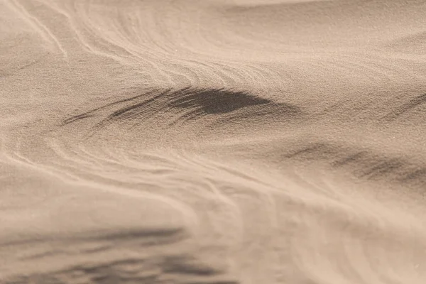 砂漠の砂丘での上質な食感 — ストック写真