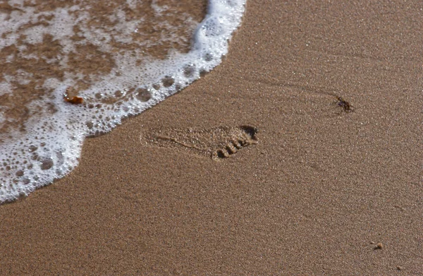 Отпечаток Ноги Мокром Песчаном Пляже Вода Умывается Собирается Стереть Отпечаток — стоковое фото