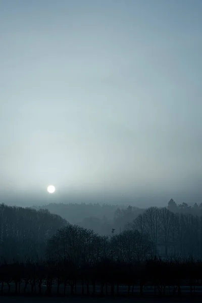 Blå Och Dimmig Soluppgång Över Park — Stockfoto