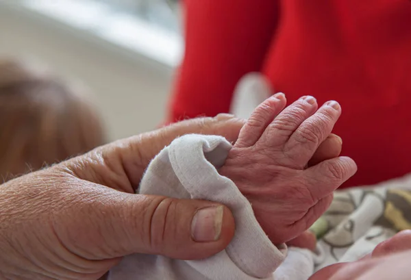 The hand of a newborn held by an old person.