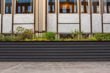 Ofis binasının önündeki alçak duvarda bitkiler var.