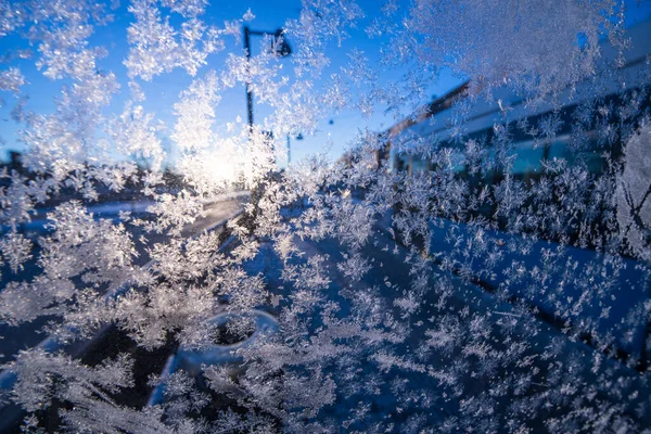 Slunce Svítí Ledové Krystaly Okně — Stock fotografie
