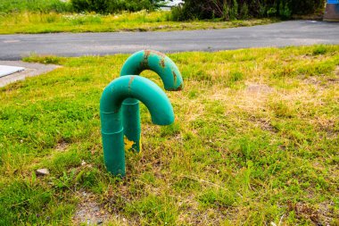Topraktan sarkan iki yeşil delik..