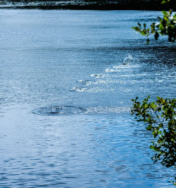 Stone Skipping Multiple Times Water — Stock Photo, Image