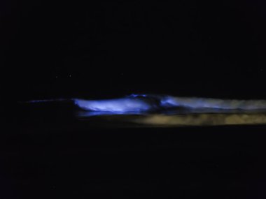 Glowing bioluminescent waves seen in the Pacific Ocean coast in Ecuador South America clipart