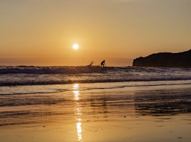 Montanita Ekvador'da güzel bir gün batımı sörfkeyfini Surfers