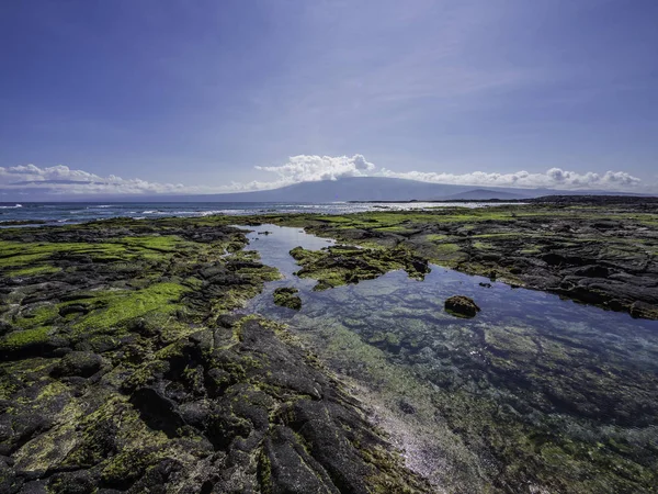 Beau paysage riverain de l'île Fernandina, Galapagos, ÉquateurBeau paysage riverain de l'île Fernandina, Galapagos, Équateur — Photo