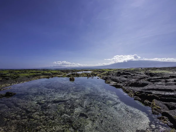 Beau paysage riverain de l'île Fernandina, Galapagos, Équateur — Photo