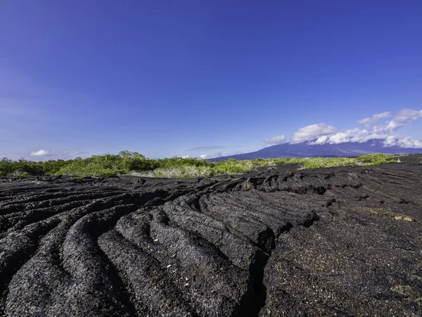 Isabela Adası Punta Moreno güzel volkanik manzara, Galapagos, Ekvador