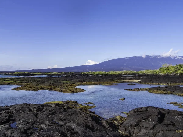 Fernandina Adası'nın güzel kıyı manzarası, Galapagos, Ekvador